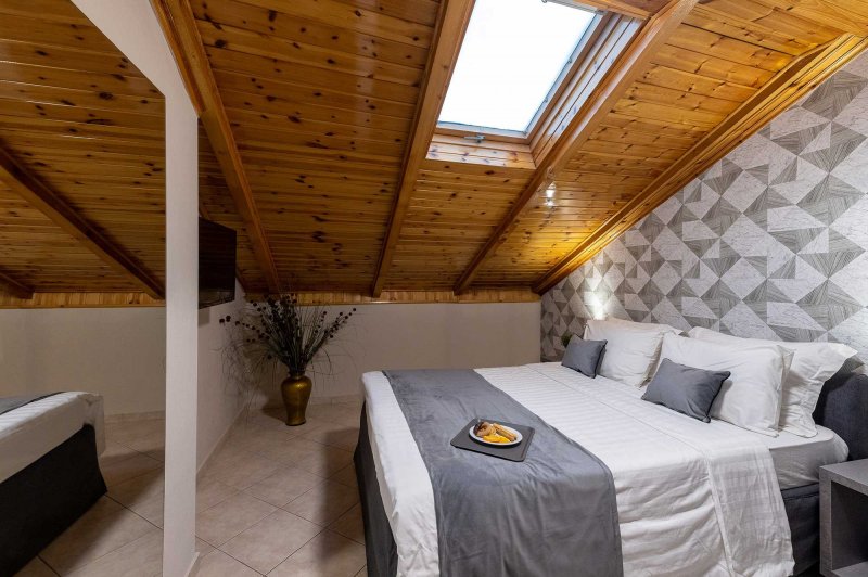 The Skylight Attic Room 50m²